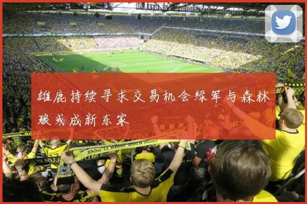 雄鹿持续寻求交易机会绿军与森林狼或成新东家