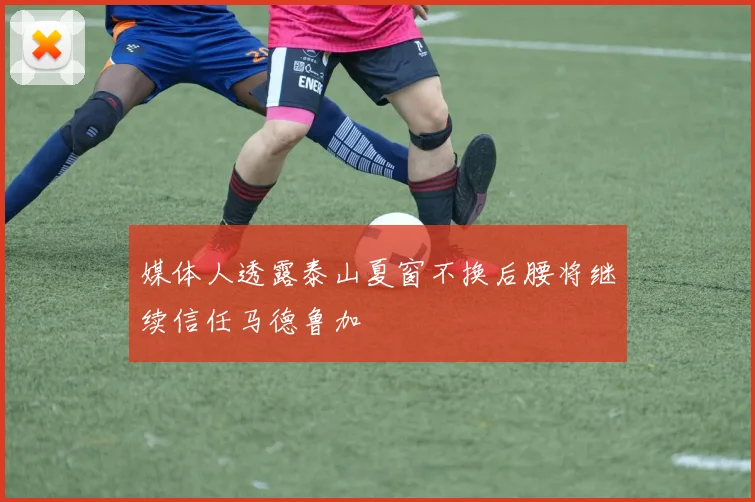 媒体人透露泰山夏窗不换后腰将继续信任马德鲁加
